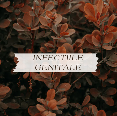 INFECTII GENITALE SI MITURI